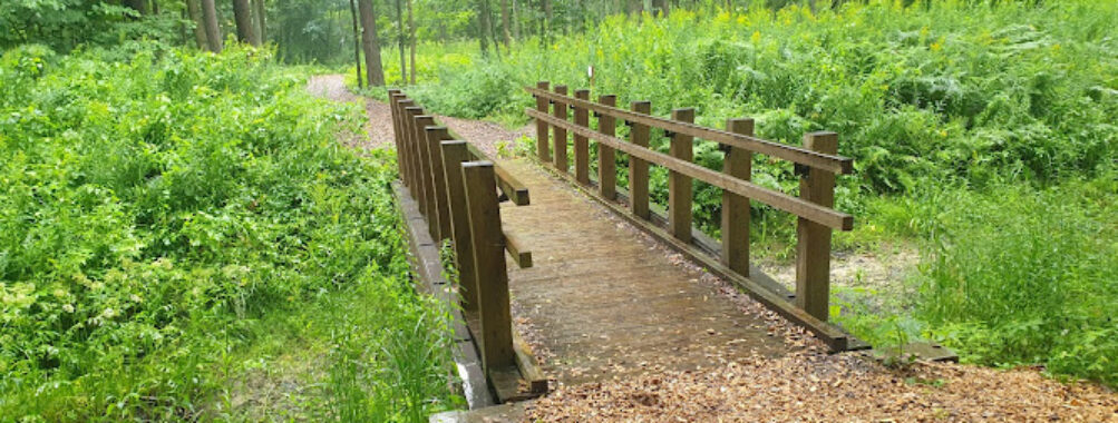 Langervalde forest park Travel Forum Reviews