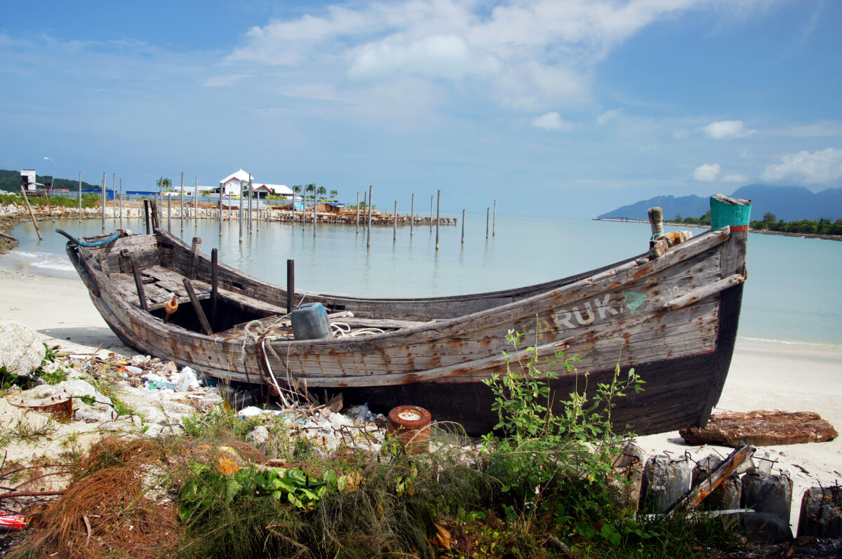 Langkawi mangrove river cruise and snorkeling experience Review