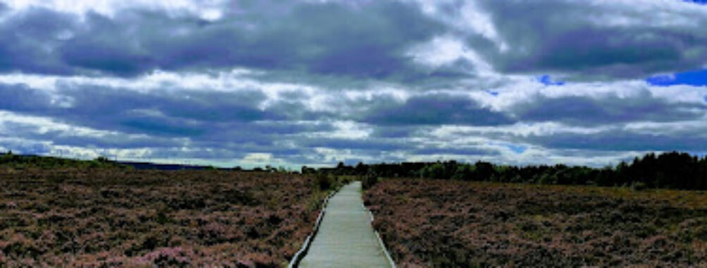 Langlands Moss Local Nature Reserve Travel Forum Reviews