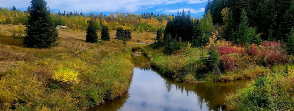 Larch Sanctuary Travel Forum Reviews