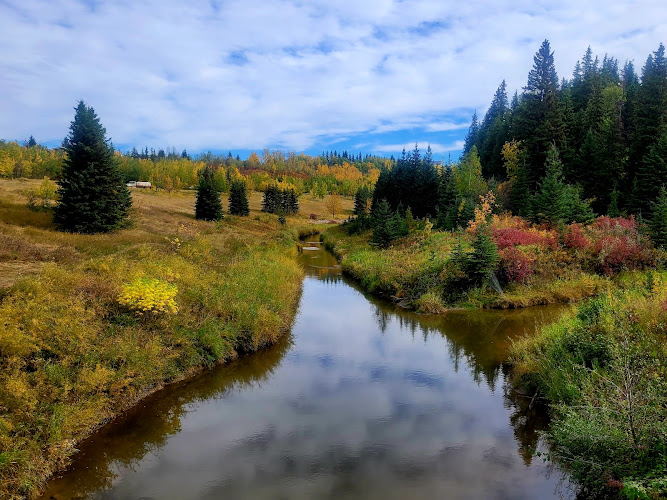 Larch Sanctuary