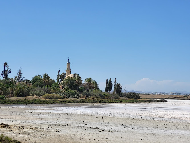 Larnaca Salt Lake Trail