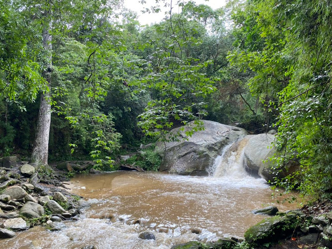 Las Cocuizas Park