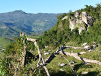 Las Piedras Travel Forum Reviews