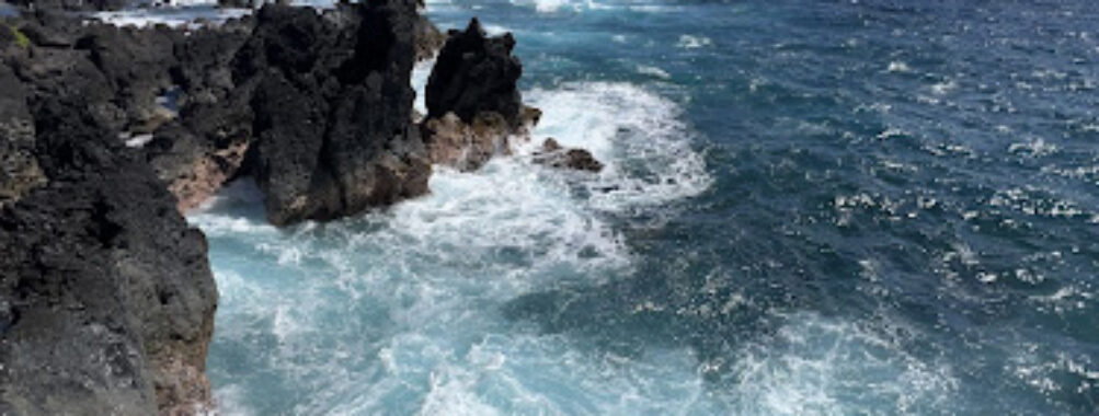Laupāhoehoe Beach Park Travel Forum Reviews