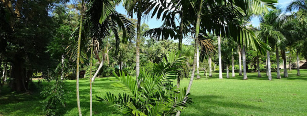 Lautoka Botanical Gardens Travel Forum Reviews