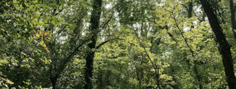 Lawrence River Trails Travel Forum Reviews