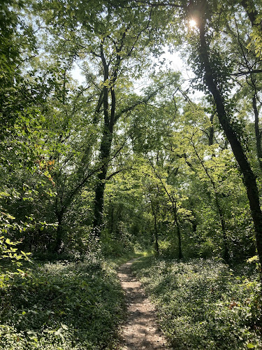 Lawrence River Trails