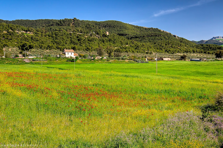 Le Kef Governorate