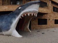 Lebanese Marine and Wildlife Museum Travel Forum Reviews