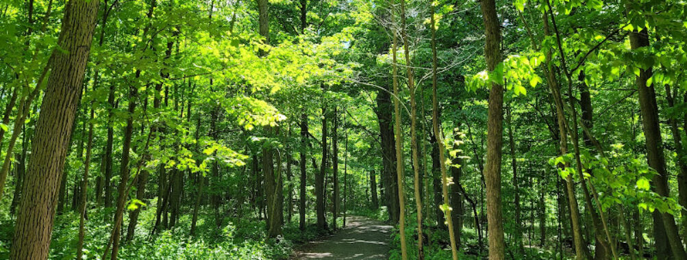 Lemoine Point Conservation Area Travel Forum Reviews