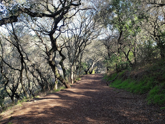 Leona Canyon Regional Open Space Preserve