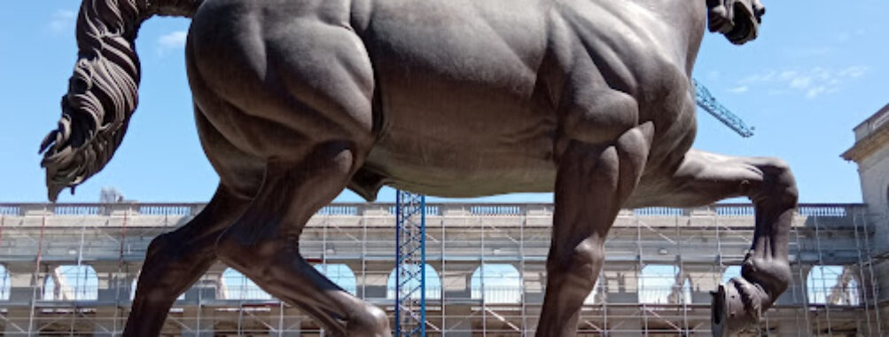 Leonardo's Horse Travel Forum Reviews