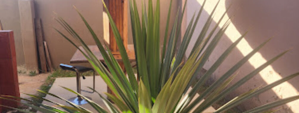 Leon's Hotel Travel Forum Reviews
