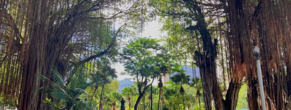 Les Jardins De La Compagnie Travel Forum Reviews
