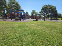 Lester B. Pearson Park Travel Forum Reviews