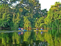 Leticia Amazonas Jungle Tours Operator Travel Forum Reviews
