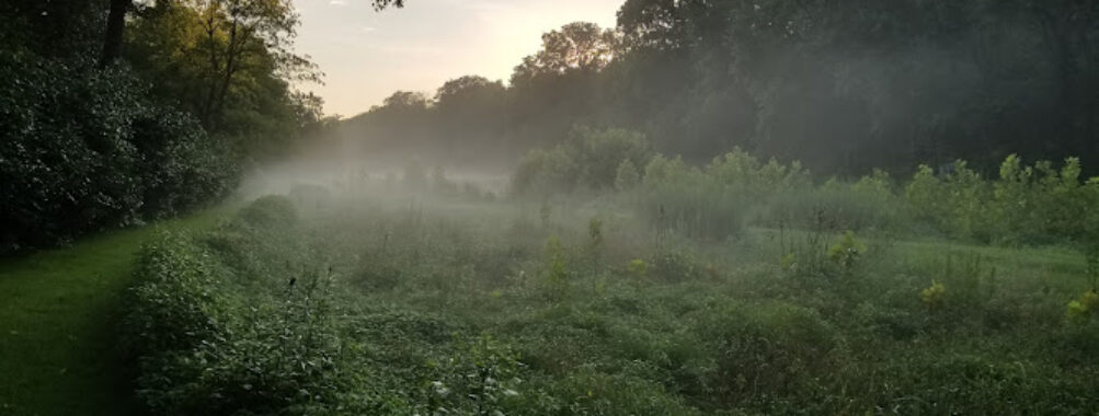 Letort Spring Garden Preserve Travel Forum Reviews