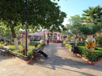 Letras Ticul Travel Forum Reviews