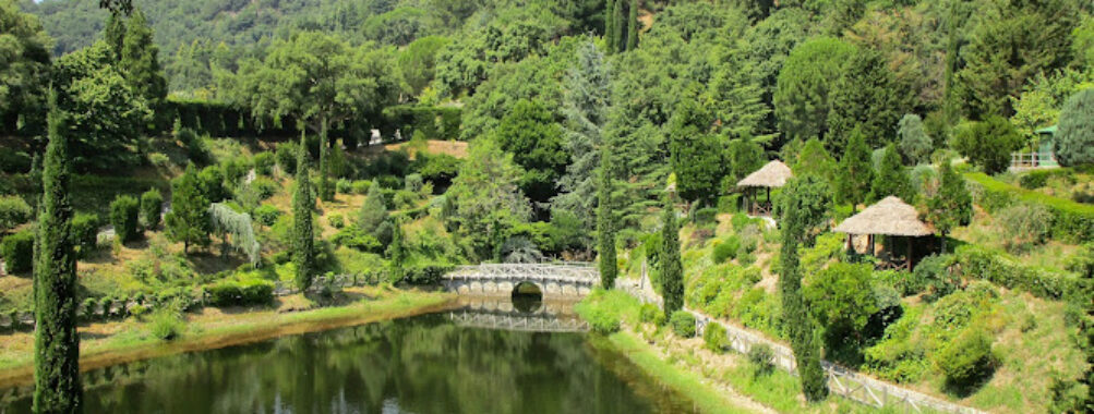 Li Comuni Travel Forum Reviews