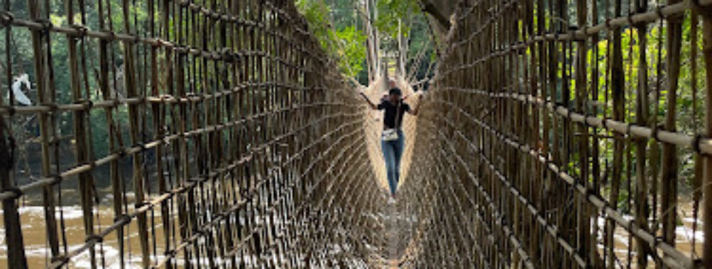 Liana Bridge of Poubara Travel Forum Reviews