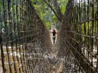 Liana Bridge of Poubara Travel Forum Reviews