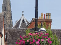 Lichfield Travel Forum Reviews