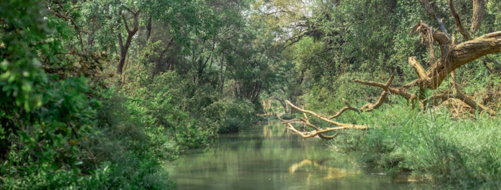 Lilongwe Wildlife Centre Travel Forum Reviews