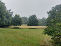 Lily Hill Park Travel Forum Reviews