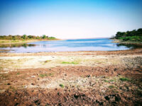 Limpopo National Park Travel Forum Reviews
