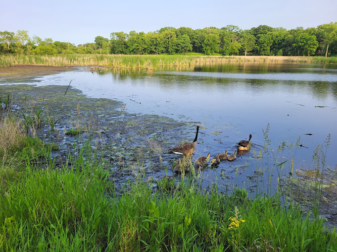 Lincoln Marsh