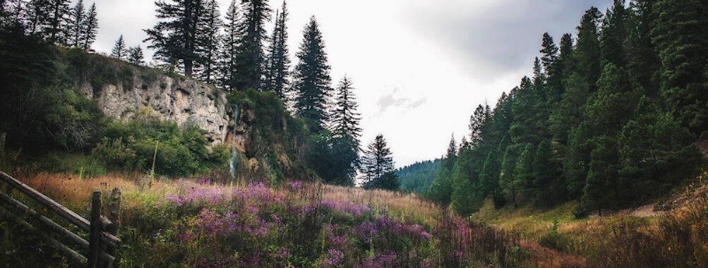 Lincoln National Forest Travel Forum Reviews