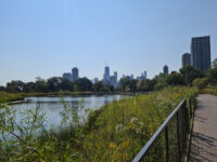 Lincoln Park Travel Forum Reviews