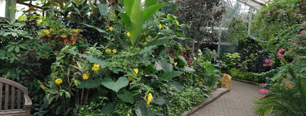 Lincoln Park Conservatory Travel Forum Reviews