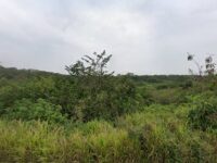 Lindero Acceso San Juan Travel Forum Reviews