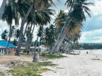 Lindi Beach Travel Forum Reviews