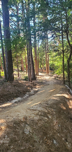 Lindsey Park