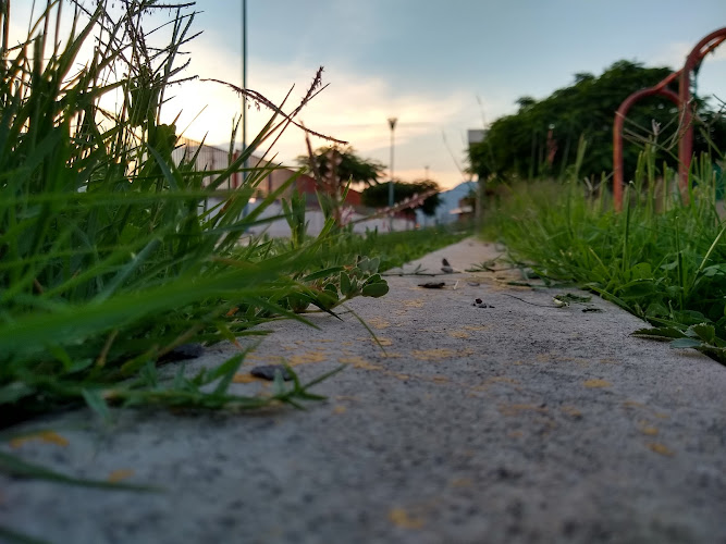 Lineal Pénjamo Park