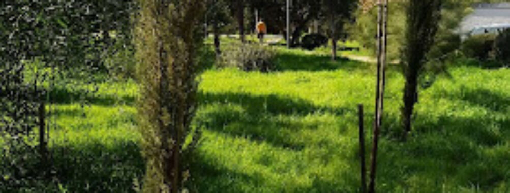 Linear Park Travel Forum Reviews