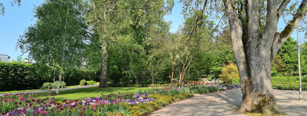 Linnéparken Travel Forum Reviews