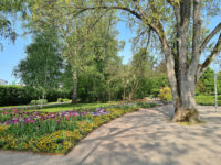 Linnéparken Travel Forum Reviews