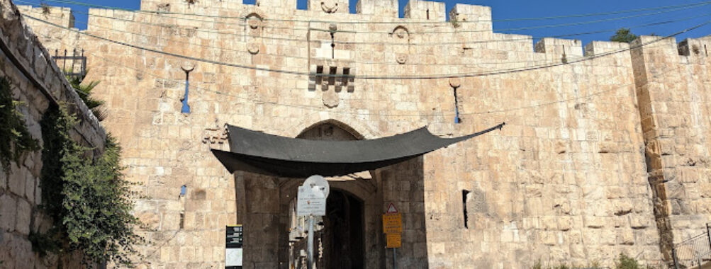 Lions' Gate Travel Forum Reviews