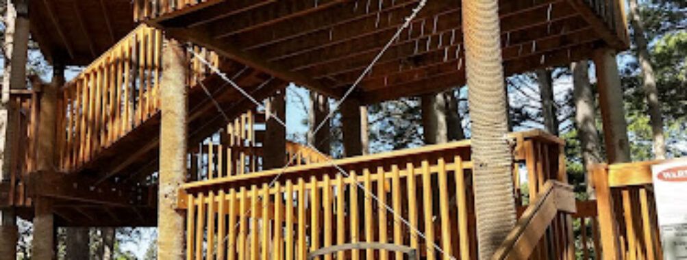 Lions Park Tree House Travel Forum Reviews
