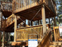Lions Park Tree House Travel Forum Reviews