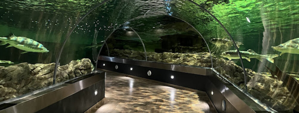 Lithuanian Sea Museum Travel Forum Reviews