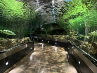 Lithuanian Sea Museum Travel Forum Reviews
