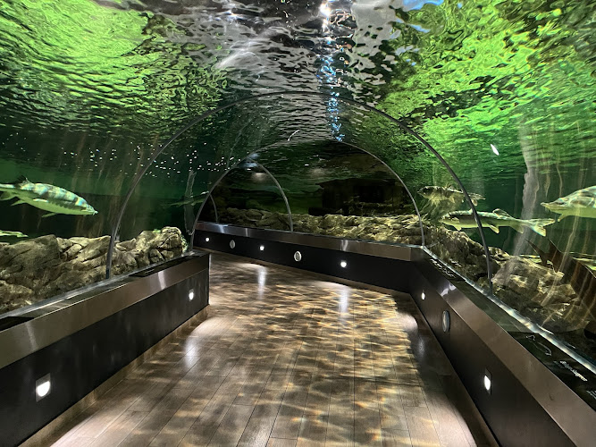 Lithuanian Sea Museum