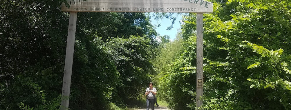 Little Cypress Creek Preserve Travel Forum Reviews