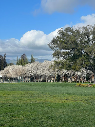 Live Oak Park