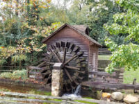 Living History Park Travel Forum Reviews